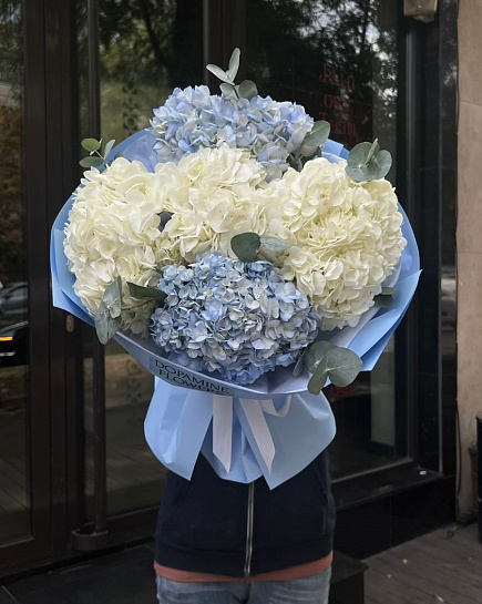 Воздушное Облако с доставкой по Астане